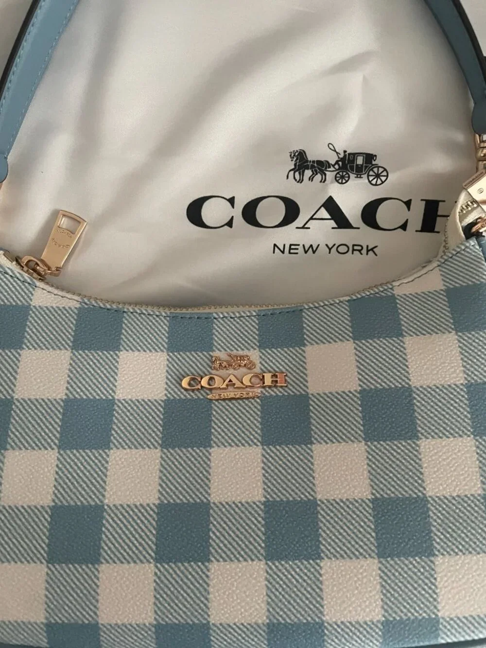 Coach Blue and White Checkered Crescent Underarm Bag